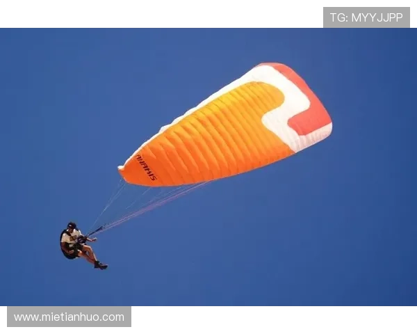 开云体育国际登录多设备支持：随时随地享受体育赛事乐趣