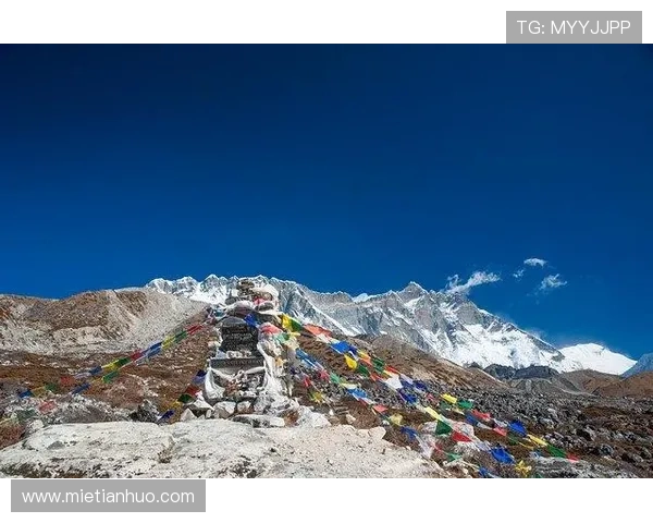 开云平台官网常见问题解答，帮助用户解决使用过程中的疑问