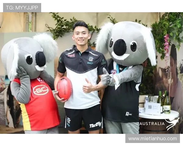 KY体育官网优惠活动盘点，丰富福利助力用户享受更多体育娱乐乐趣