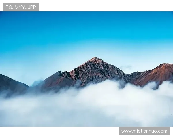 开云真人app登录遇到问题怎么办全面解决登录障碍的实用方法